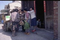 藏品(1950至2006年臺灣常民生活)的圖片