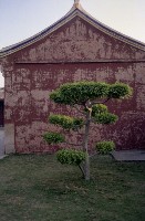 藏品(1950至2006年臺灣常民生活)的圖片