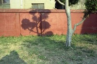 藏品(1950至2006年臺灣常民生活)的圖片