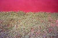 藏品(1950至2006年臺灣常民生活)的圖片