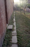 藏品(1950至2006年臺灣常民生活)的圖片