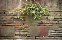 藏品(1950至2006年臺灣常民生活)的圖片