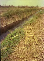 藏品(1950至2006年臺灣常民生活)的圖片