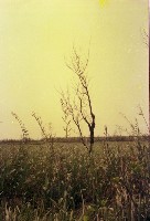 藏品(1950至2006年臺灣常民生活)的圖片