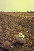 藏品(1950至2006年臺灣常民生活)的圖片