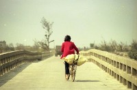 藏品(1950至2006年臺灣常民生活)的圖片