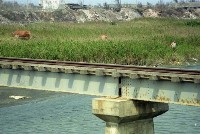 藏品(1950至2006年臺灣常民生活)的圖片