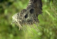 藏品(1950至2006年臺灣常民生活)的圖片