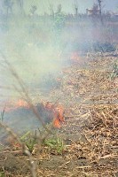 藏品(1950至2006年臺灣常民生活)的圖片