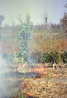 藏品(1950至2006年臺灣常民生活)的圖片