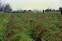 藏品(1950至2006年臺灣常民生活)的圖片