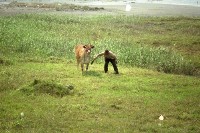 藏品(1950至2006年臺灣常民生活)的圖片