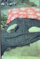 藏品(1950至2006年臺灣常民生活)的圖片