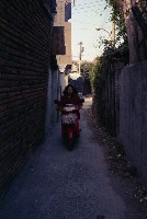 藏品(1950至2006年臺灣常民生活)的圖片