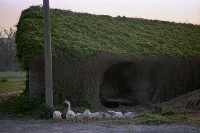 藏品(1950至2006年臺灣常民生活)的圖片