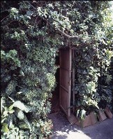 藏品(1950至2006年臺灣常民生活)的圖片