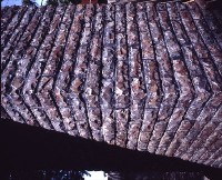 藏品(1950至2006年臺灣常民生活)的圖片