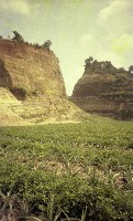 藏品(1950至2006年臺灣常民生活)的圖片