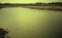 藏品(1950至2006年臺灣常民生活)的圖片