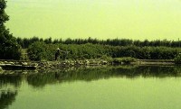 藏品(1950至2006年臺灣常民生活)的圖片