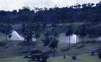 藏品(1950至2006年臺灣常民生活)的圖片