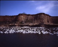 藏品(1950至2006年臺灣常民生活)的圖片