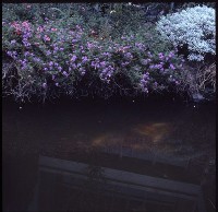 藏品(1950至2006年臺灣常民生活)的圖片