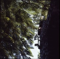 藏品(1950至2006年臺灣常民生活)的圖片