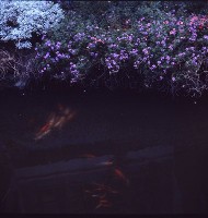 藏品(1950至2006年臺灣常民生活)的圖片