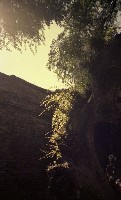 藏品(1950至2006年臺灣常民生活)的圖片