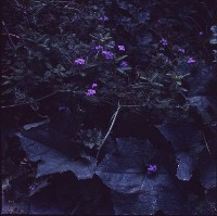 藏品(1950至2006年臺灣常民生活)的圖片