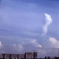 藏品(1950至2006年臺灣常民生活)的圖片