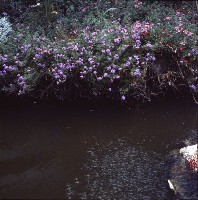 藏品(1950至2006年臺灣常民生活)的圖片