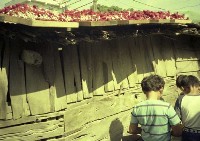 藏品(1950至2006年臺灣常民生活)的圖片