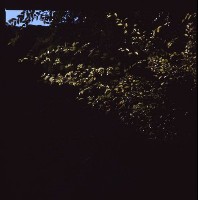 藏品(1950至2006年臺灣常民生活)的圖片