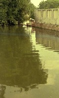 藏品(1950至2006年臺灣常民生活)的圖片