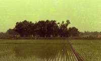 藏品(1950至2006年臺灣常民生活)的圖片