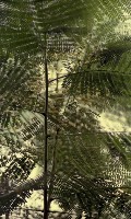 藏品(1950至2006年臺灣常民生活)的圖片