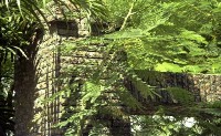 藏品(1950至2006年臺灣常民生活)的圖片