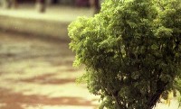 藏品(1950至2006年臺灣常民生活)的圖片