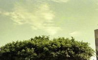 藏品(1950至2006年臺灣常民生活)的圖片