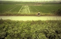 藏品(1950至2006年臺灣常民生活)的圖片