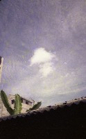藏品(1950至2006年臺灣常民生活)的圖片