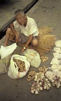 藏品(1950至2006年臺灣常民生活)的圖片
