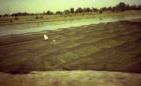 藏品(1950至2006年臺灣常民生活)的圖片
