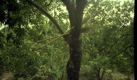 藏品(1950至2006年臺灣常民生活)的圖片
