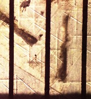 藏品(1950至2006年臺灣常民生活)的圖片