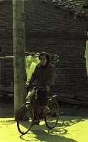 藏品(1950至2006年臺灣常民生活)的圖片