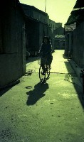 藏品(1950至2006年臺灣常民生活)的圖片
