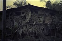 藏品(1950至2006年臺灣常民生活)的圖片